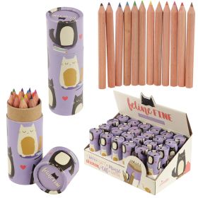 Feline Fine Kat - Kleurpotloden Tekenkoker Feline Fine Kat - Kleurpotloden Tekenkoker