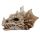 Shadows of Darkness Drakenschedel Ornament Small