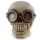 Steam Punk Stijl Schedel met bril Woonaccessoire