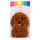 Cavapoo Hond Magnetron Heatpack Lavendel Tarwe