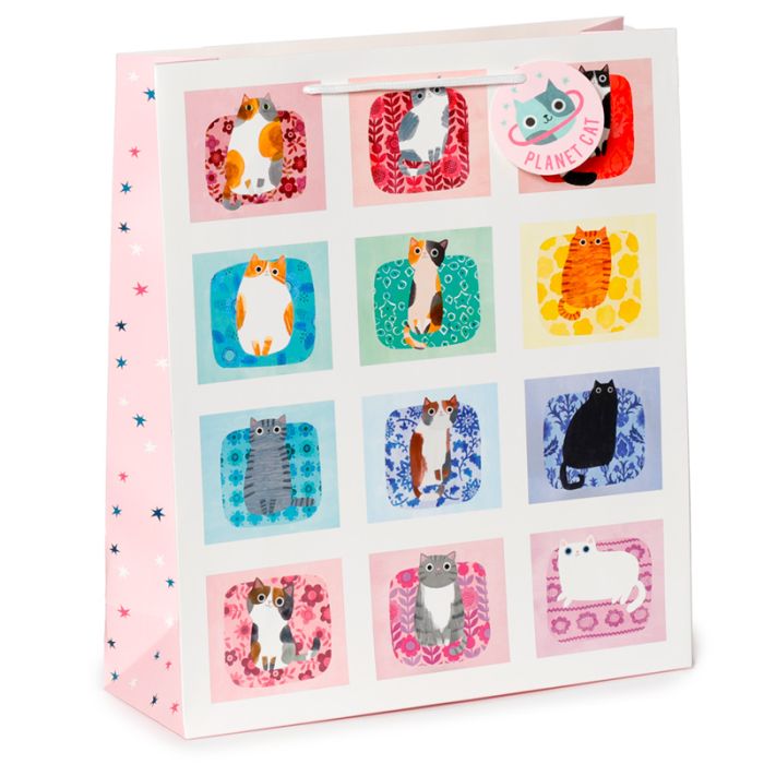 Planeet Kat- Cadeautasje XL