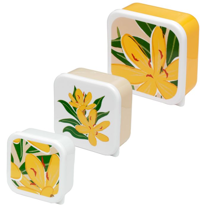 Set of 3 Lunch Box Snack Pots M/L/XL - Florens Hesperantha
