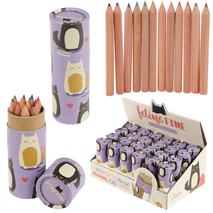 Feline Fine Kat - Kleurpotloden Tekenkoker