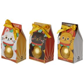 Bruisbal Gift Box - Maneki Neko Gelukskat 