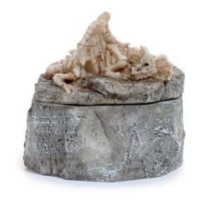 Shadows of Darkness Slapende Botten Drakenskelet Bewaardoosje